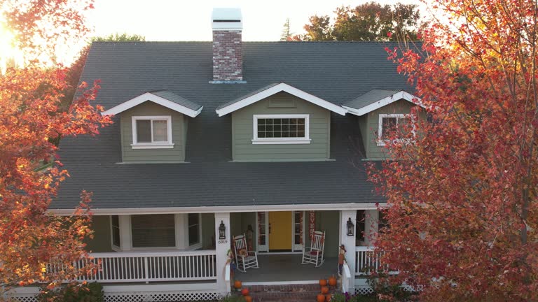 Best Skylight Installation and Repair  in Freeport, PA